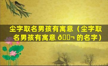 尘字取名男孩有寓意（尘字取名男孩有寓意 🐬 的名字）